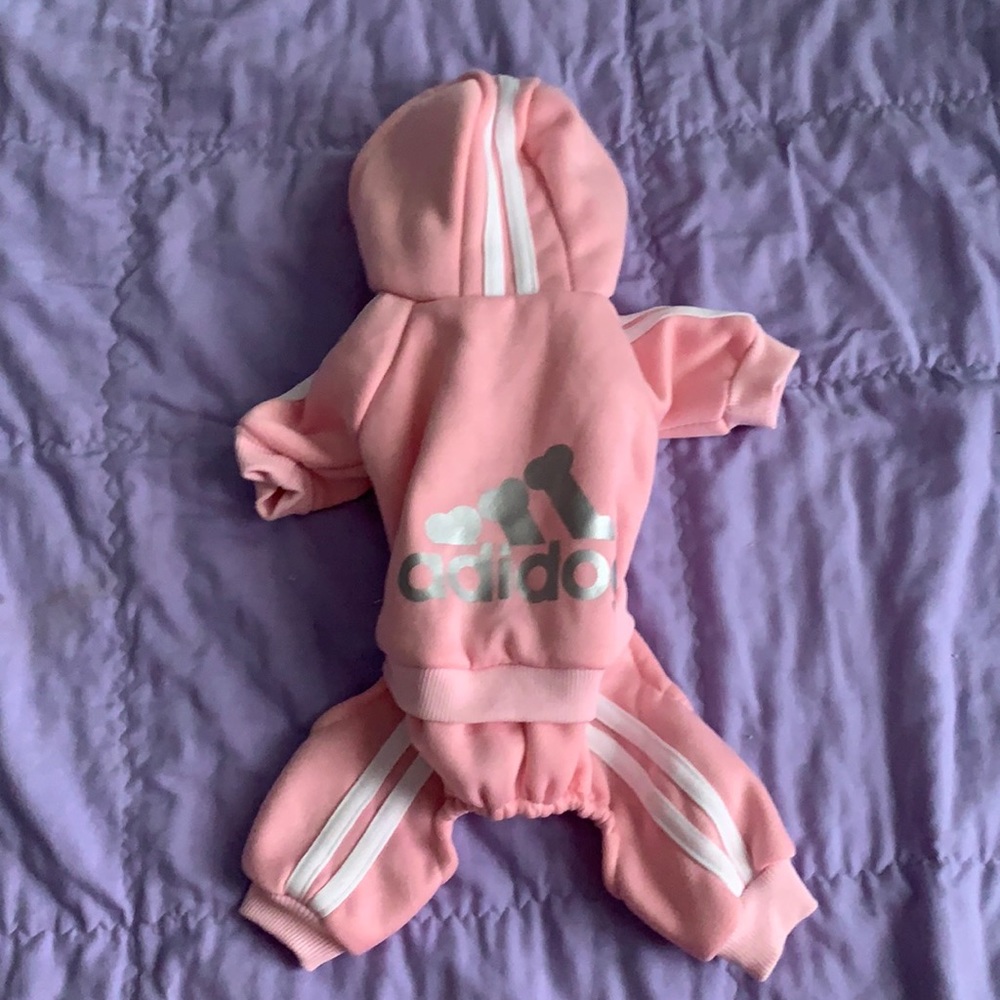 Dog outfit